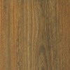SPOTTED GUM image